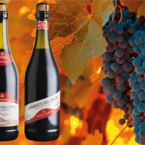 Vins effervescents