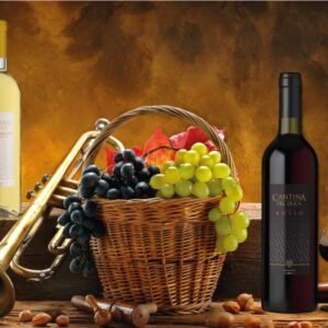 Vins